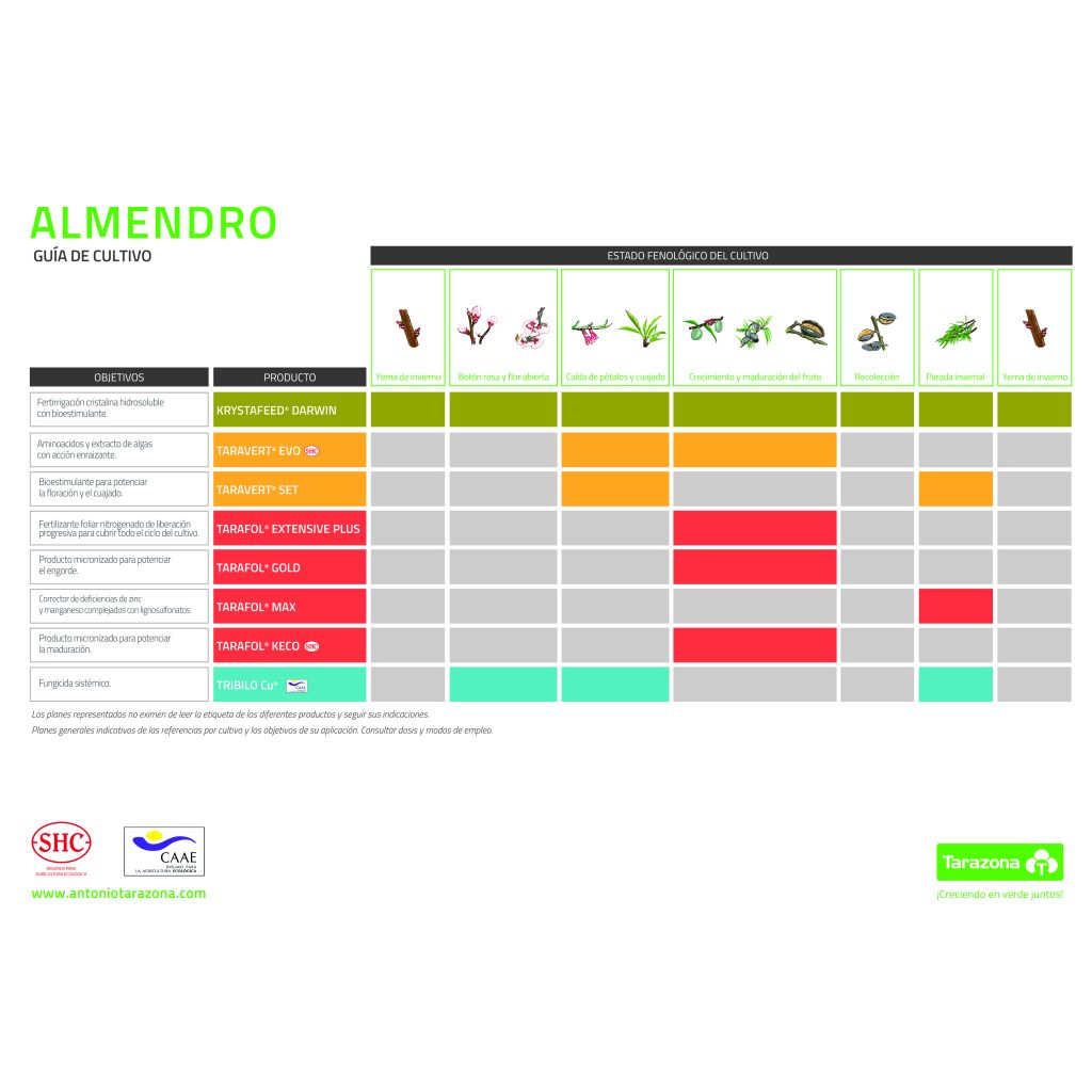 las-claves-del-cultivo-del-almendro-tarazona-agrosolutions