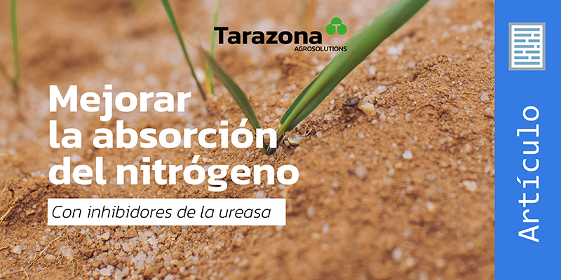 mejorar la absorción del nitrógeno con inhibidores de la ureasa