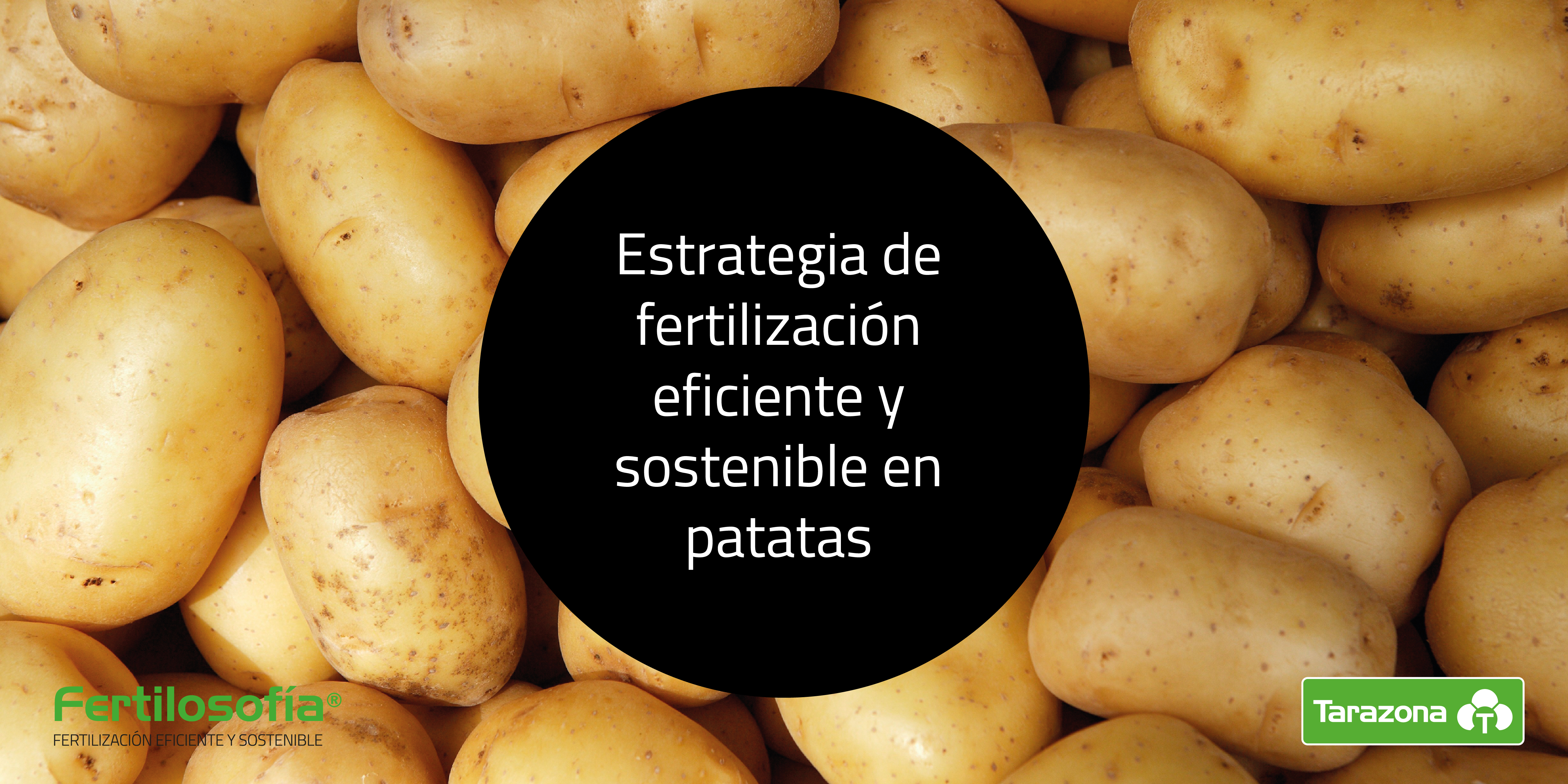 plan fertilización patata