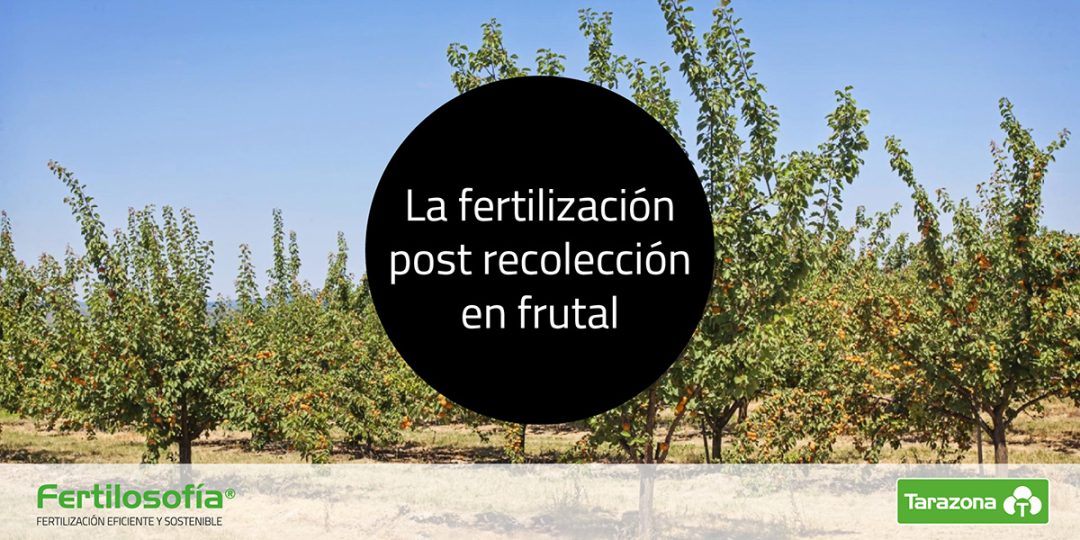 fertilización post cosecha árboles frutales